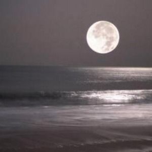 Meet your Posher, Dr